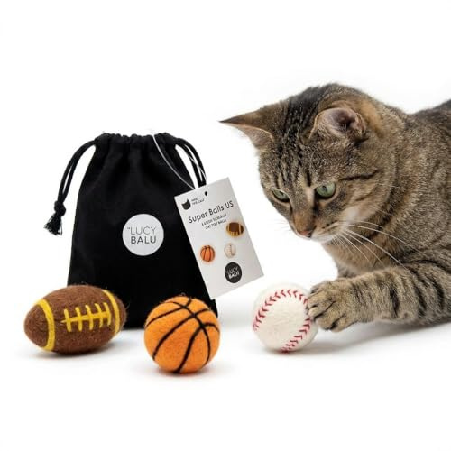 LucyBalu® Filzbälle für Katzen I Katzenspielzeug Ballsportarten I Sport Katzenbälle aus Filz | Natürliche Katzen-Spielsachen aus 100% Wolle I Sport Spielbälle | 3 Stück | American Sports
