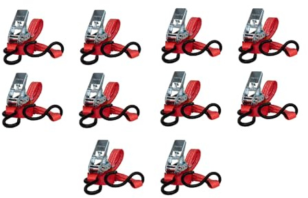 Lasiprofi Zurrgurt 25 mm | Druckratsche | Länge 4,0m | mit S-Haken | Set | STF 100 daN | Farbe rot | Zurrgurt zur Ladungssicherung | für LKW, Anhänger und Kleintransporter (10)