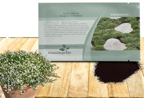 Outsidepride Irish Moss Ground Cover Seeds - 5000 Pcs Perennial Low Growing, Mat-Forming Lawn Alternative, Outdoor Ground Cover Seeds with Shade Tolerance, Ideal for Pathways and Rock Gardens