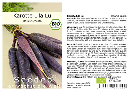 Seedeo® Karotte Lila Lu (Daucus carota) ca.100 Samen BIO