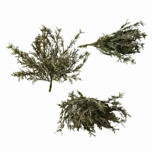 Loberon Deko-Blume 3er Set Emmet, grün | naturnahe Optik, winterliche Dekoration, Wohn-Accessoire, Weihnachtsdeko, Weihnachten, Kunststoff