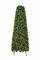 Primrose 60cm Lifelike Artificial Topiary Buxus Obelisk