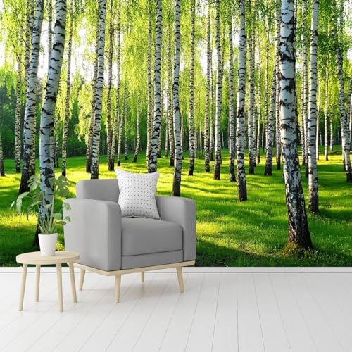 Natural Scenery Wall Murals, Sunlit Forest Grassland Landscape Trees Wallpaper, Removable Large Photo Wallpaper (Self-Adhesive Fabric, Easy to Install) for Living Room, Bedroom & Walls 108 x 78