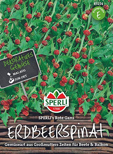 Sperli Gemüsesamen Erdbeerspinat Rote Gans, grün