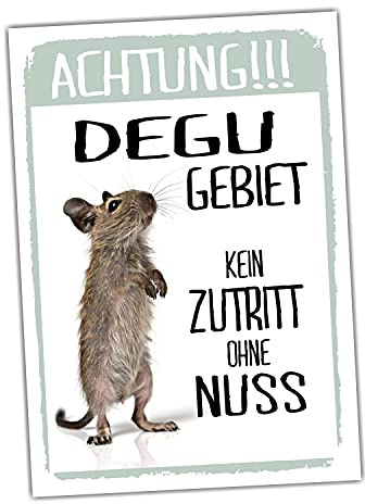 Achtung Degu Kein Zutritt Schild lustig mit Spruch Türschild Warnschild Fun Metallschild
