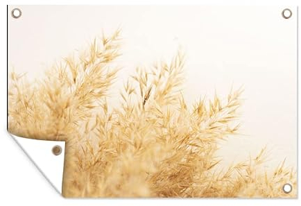 MuchoWow Poster exterieur Herbe de la pampa - Soleil - Herbe Decoration murale 120x80 cm Résistant aux intempéries/soleil