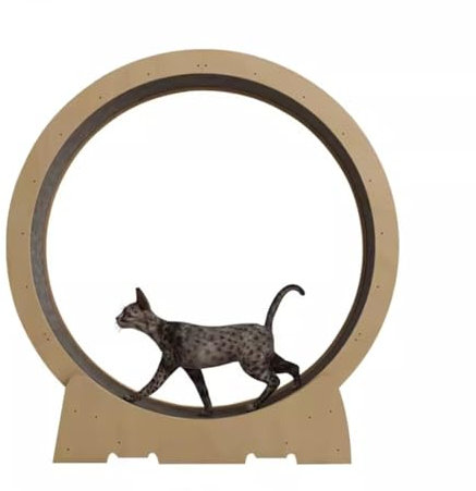 Katzenlaufrad Katzen-Fitness-Laufband, Leises Katzenrad Für Hauskatzen, Haustier-Katzenspielzeug Als Geschenk, Einfach Zu Montieren (Size : Diameter 90cm)