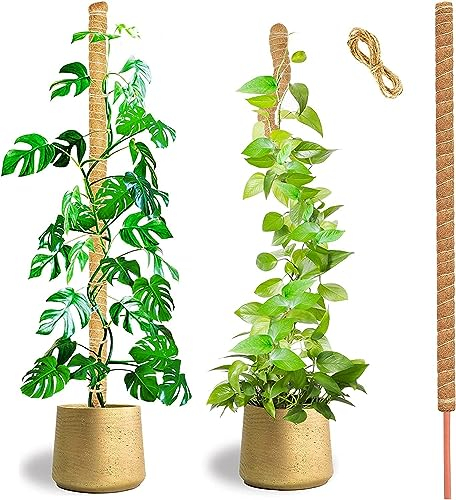 HuiPoLii 125cm Kokosfaser Monstera Rankhilfe, Biegbar, DIY-Form, für Zimmerpflanzen, Moosstab (1 Stück)
