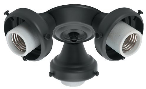 Hunter Fan Company Hunter Fan Company 99140 Three Light Fitter- Black
