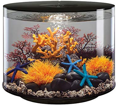 biOrb TUBE 35 LED, schwarz - 360-Grad Deko-Aquarium / Komplett-Set aus Acryl-Glas mit LED-Beleuchtung, Filter-System und Boden-Keramik