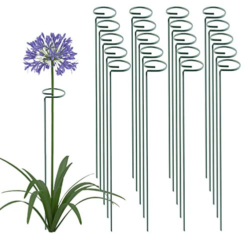Thealyn 36 Inch 20 Packs Plant Support Stake Garden Single stemmed Plant Support Hoops Plant Prop for Flowers Orchid Tomatoes Peony Lily Rose Gladiolus (36 inch)