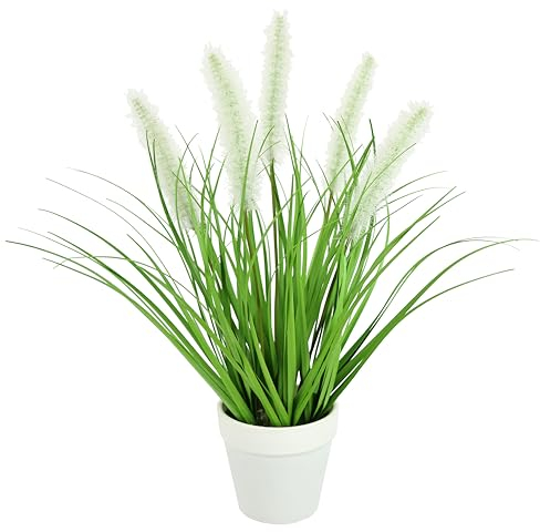 Flair Flower Künstliches Fuchsschwanzgras im Topf Gras Kunstpflanze Kunstgras Ziergras Grünpflanzen Dekogras Grasbüschel Ziergras Solitärgras Deko Grasarrangement Borstenhirse Süßgräser