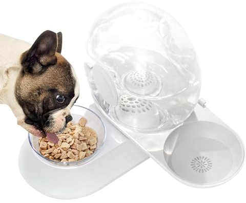 Distributore d'acqua per animali domestici, Distributore d'acqua per cani gatti,Distributore di acqua filtrata per animali domestici e ciotola per cibo | Fontanella automatica a forma di lumaca, set d