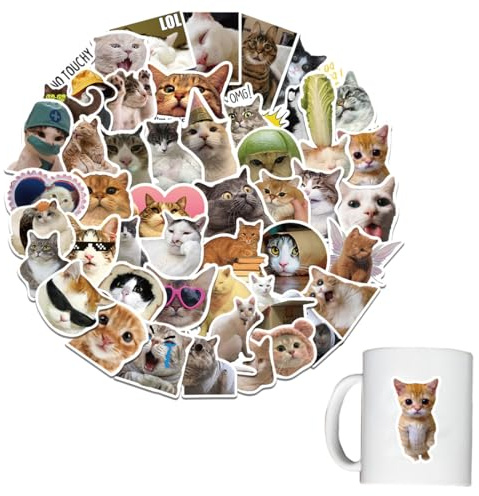 50 Stück Lustige Meme-Aufkleber, Katze Meme, klassische lustige Aufkleber für Erwachsene, modische Graffiti-Aufkleber, bunte Graffiti-Aufkleber, wasserdichte Vinyl-Aufkleber für Laptop Skateboard