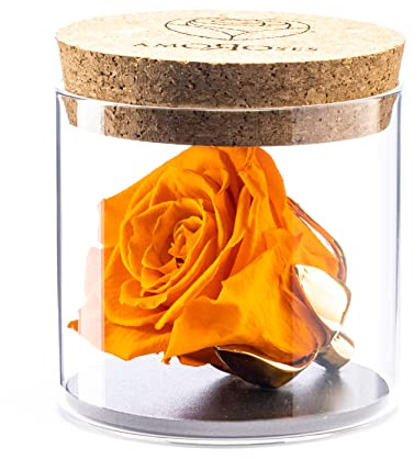 Amoroses Bijou - Rose éternelle stabilisée avec Calice plaqué Or 24K dans Un conteneur en Verre | Idée Cadeau