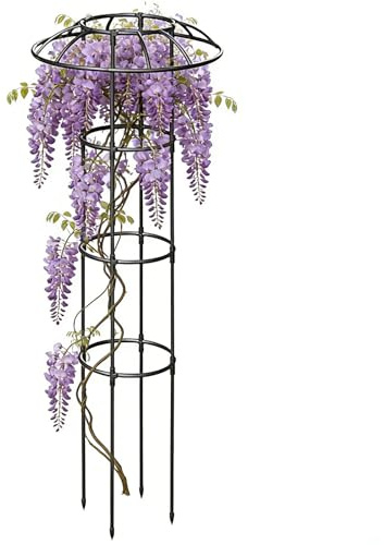Mxshc Griglia da Giardino per Piante Rampicanti - Supporto Verticale per Viti Antiruggine e Stabile | Graticcio a Fungo con Cima Fiorita | Per Vite Rosa Clematide Ortaggi Pitaya Cetriolo Ortensie