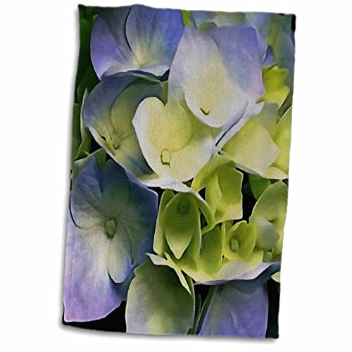 3dRose - Taiche - Acrylic Painting - Hydrangea Bush - Vibrant Pink and Blue Hydrangea Plant - Towels (twl-307211-1)