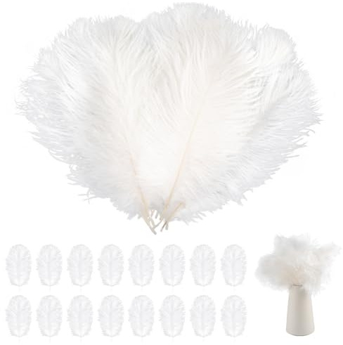 20 Stück Straußenfeder, Natürliche Federn zum Basteln, Straussenfedern Weiß | 20-25 cm Strauß Feder Groß für Hochzeit Party Fest Karneval Zuhause Tischdekoration DIY Basteln