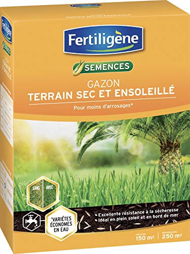 FERTILIGENE SEC150 - Semences Gazon Terrain Sec 3,75 kg - Pour moins d'arrosages et un gazon plus vert - Excellence résistance à la sécheresse - Idéal terrains plein soleil ou bord de mer - Pour 150m²