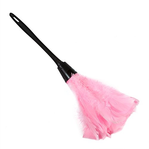 Dinde Plumeau Brosse Duster en Plume pour la Poussière (Rose)