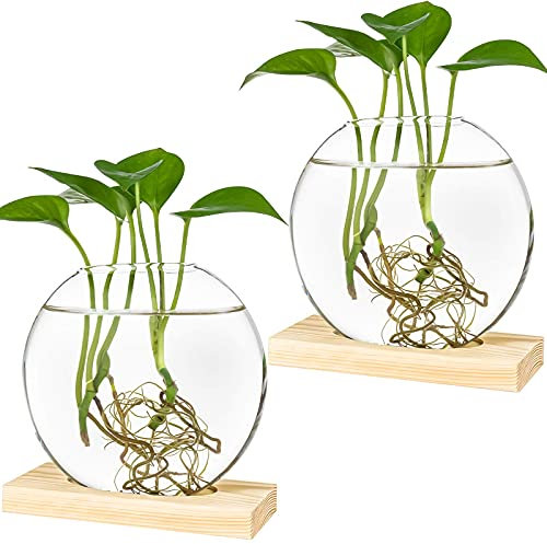 Kingbuy Vaso da fiori rotondo da tavolo in vetro con supporto in legno per propagazione, piante idroponiche, decorazione per casa, ufficio, confezione da 2, beige
