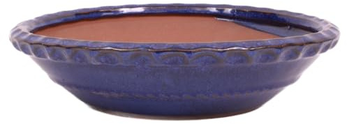 generisch Bonsai - Schale rund 21.5 Ø x 5.5 cm, blau 22127