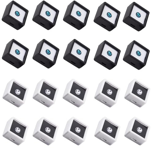 20 Stück Edelstein Display Box 3x3cm Schwarz und Weiß Edelstein-Schaukasten | Acryl Schmuckschatulle Behälter mit Durchsichtigem Deckel und Schwamm Innen für Edelsteine, Münzen, Diamanten