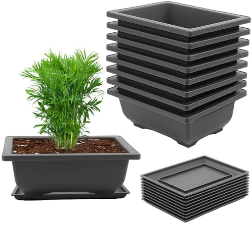 CHUIFAI 12 stycken bonsaikrukor med underlägg, 23 x 17 x 8 cm bonsai skål stora träningskrukor av plast, rektangulär skål stor blomkruka för fönsterban, trädgård, terrass