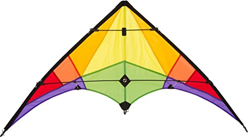 HQ Design Ecoline Rookie Lenkdrachen Zweileiner Flugdrachen für Erwachsene und Kinder ab 8 Jahren, 60x120cm, inkl. 20kp Polyesterschnüre 2x25m auf Spulen, 3-5 Bft (Rainbow)