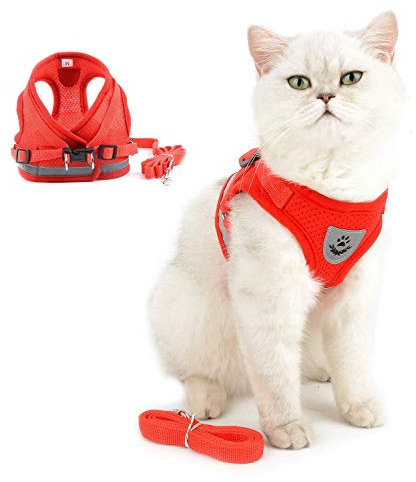 SELMAI Katzenleine mit Geschirr für Katzen Baby Reflektierend Weiches Mesh Atmungsaktiv Sicherheitsgeschirre für Hunde Kein Zug Gepolsterte Westengeschirr Kleine Hunde Welpen Chihuahua Rot XS