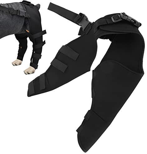 Jeanoko Elastische Hundekniestütze Verstellbare Kniepolster für Haustiere Starke Stabilität Schutz der Hinterbeine für Hunde zur Wiederherstellung von verletzten oder erkrankten Beinen für Hunde(L)