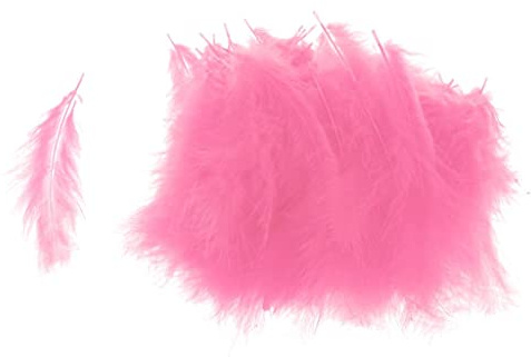 Gitohoni 100 Stück Bobo Feder Bastelfeder Ballon DIY Dekoration Party Ballon Zubehör Natürliche Federn für Scrapbooking Kartenbasteln Hochzeit Heimdekoration, Rosa