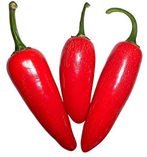 10 x Jalapeno Red piment graines