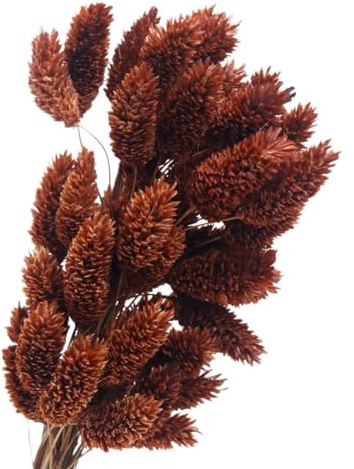 predolo Bouquet di fiori secchi, decorativi, fiori secchi, decorazioni di fiori secchi per composizioni fai da te per feste, marrone