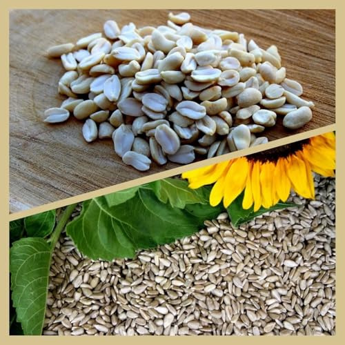 20 kg Vogelfutter Kombi - [ KOMBIPAKET I ] 10 kg geschälte Sonnenblumenkerne/10 kg Erdnüsse weiß blanchiert von Futterbauer