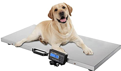 Oiyekntd Échelle d'échelle Échelle d'expédition, 1102lbs d'échelle numérique de l'expédition Postale Vet Pet avec 109x52cm Grande Plate-Forme en Acier Inoxydable pour Animal Chien Cochon Chat chèvre