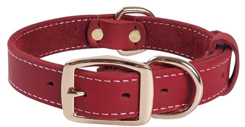 Robustes Hundehalsband aus Echtem Leder –vVerstellbares Design,Weich und Strapazierfähig mit Metallschnalle und D-Ring für Kleine, Mittlere und Große Rassen (Rot, L)