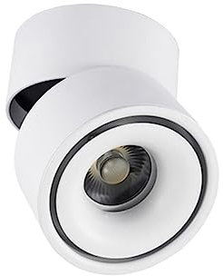 Angoily 10w Led-strahler Decken-downlight Verstellbare Aluminium Wandleuchte Strahler Oberflächenmontage Beleuchtung Deckenleuchte Downlight