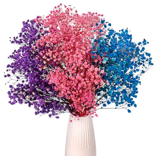Gipizi Schleierkraut Getrocknet Rosa Lila Blau 3 Farben, Natürliche Gypsophila Getrocknet Trockenblumen über 3000 Blütenknospe, Gypsophila Trockenblumen für Schleierkraut für Hochzeit, Heimdeko, DIY