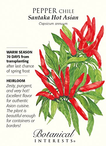 Graines De Piment Asiatique Santaka Paquet De 100 Graines
