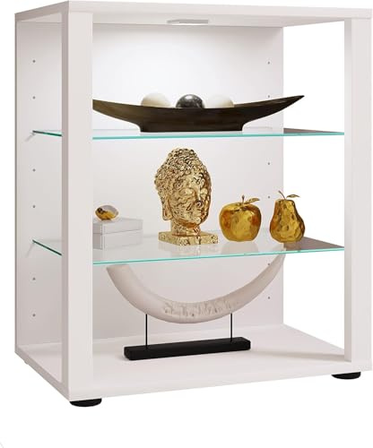 VCM Standvitrine 52x35x60 cm 2 Türen 3 Fächer Präsentationsvitrine | Offene Ausstellung von Deko und Sammlerstücken - Wohnzimmer oder Büro - für Sammler und Deko-Fans - Serie Glasol