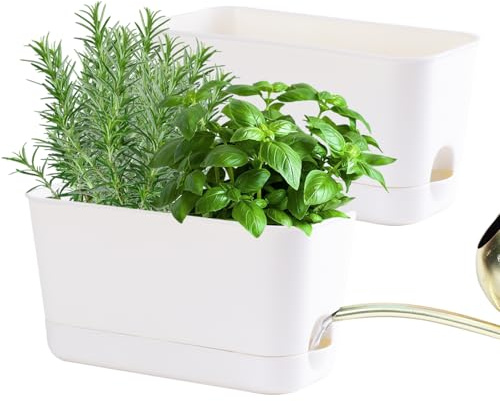 Oliz Jardinière d'herbes aromatiques d'intérieur pour intérieur/extérieur, Auto-arrosage avec Drainage, kit de Jardin d'herbes aromatiques avec Plateau, Pot de fenêtre pour Plantes d'intérieur