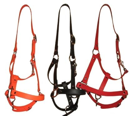 RHRH BioThane Halfter BASIC genietet bunt MADE IN GERMANY (Dunkelbraun, WB)