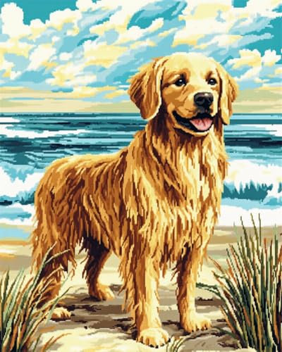 AYAOYANGGO 11CT Kreuzstich Set Stickset „Golden Retriever Am Strand“，Kreuzstichset Mit Hunden Und Tieren Für Erwachsene，Mit Nadeln，Schereneinfädler，Vordruck Für Die Wanddekoration Zu Hause 40x50cm