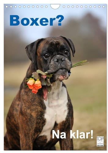 Boxer? Na klar! (Wandkalender 2026 DIN A4 hoch), CALVENDO Monatskalender: Boxer, der Clown unter den Hunden. (CALVENDO Tiere)