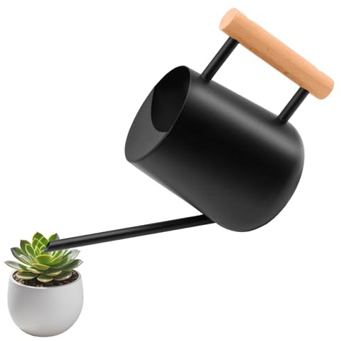 Regadera pequeña de metal de 1 L, para plantas de interior con caño largo, 1000 ml, acero inoxidable, regadera para interior, plantas suculentas, agua