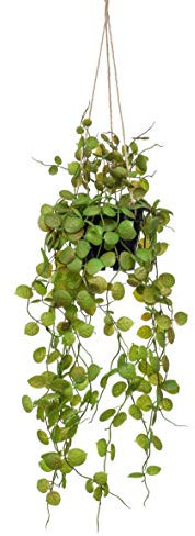 artplants.de Cesta Colgante de ceropegia de plástico Bolten, Verde, 50cm - Planta Colgante Artificial - Enredadera Falsa