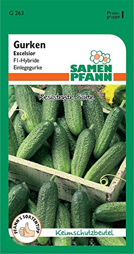 SAMEN PFANN Einlegegurke, Excelsior F1 - Gemüse-Samen Gurken-Samen Saatgut (Cucumis sativus)