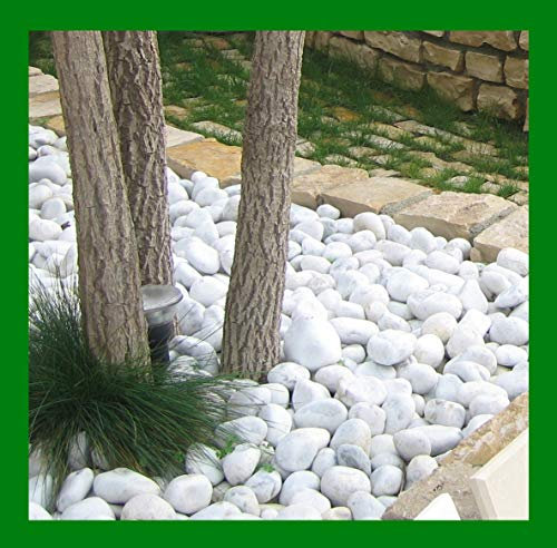 Seat Flor srl® CIOTTOLO Bianco Carrara, Pietra Bianca per Giardino, ciottoli bianchi per giardino e aiuole (20 kg.) (misura 7/15 mm.)