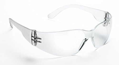 Univet 568.01.00.00 Schutzbrille Nummer 568 mit Glas, transparent